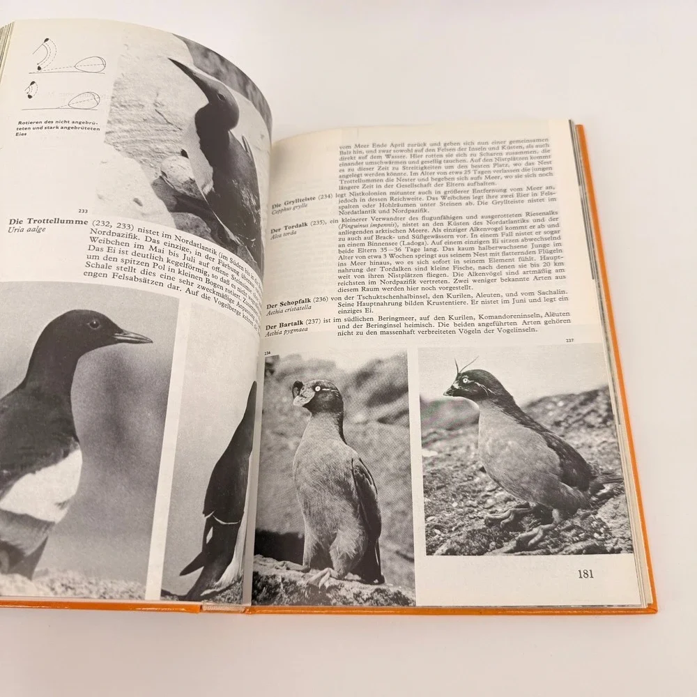 Welt der Vogel in Farbe 1985 German Bird Book Hardcover Illustrated